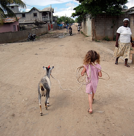 Haitigoat