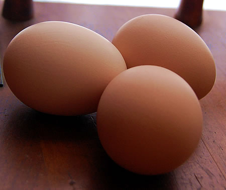 TXeggs